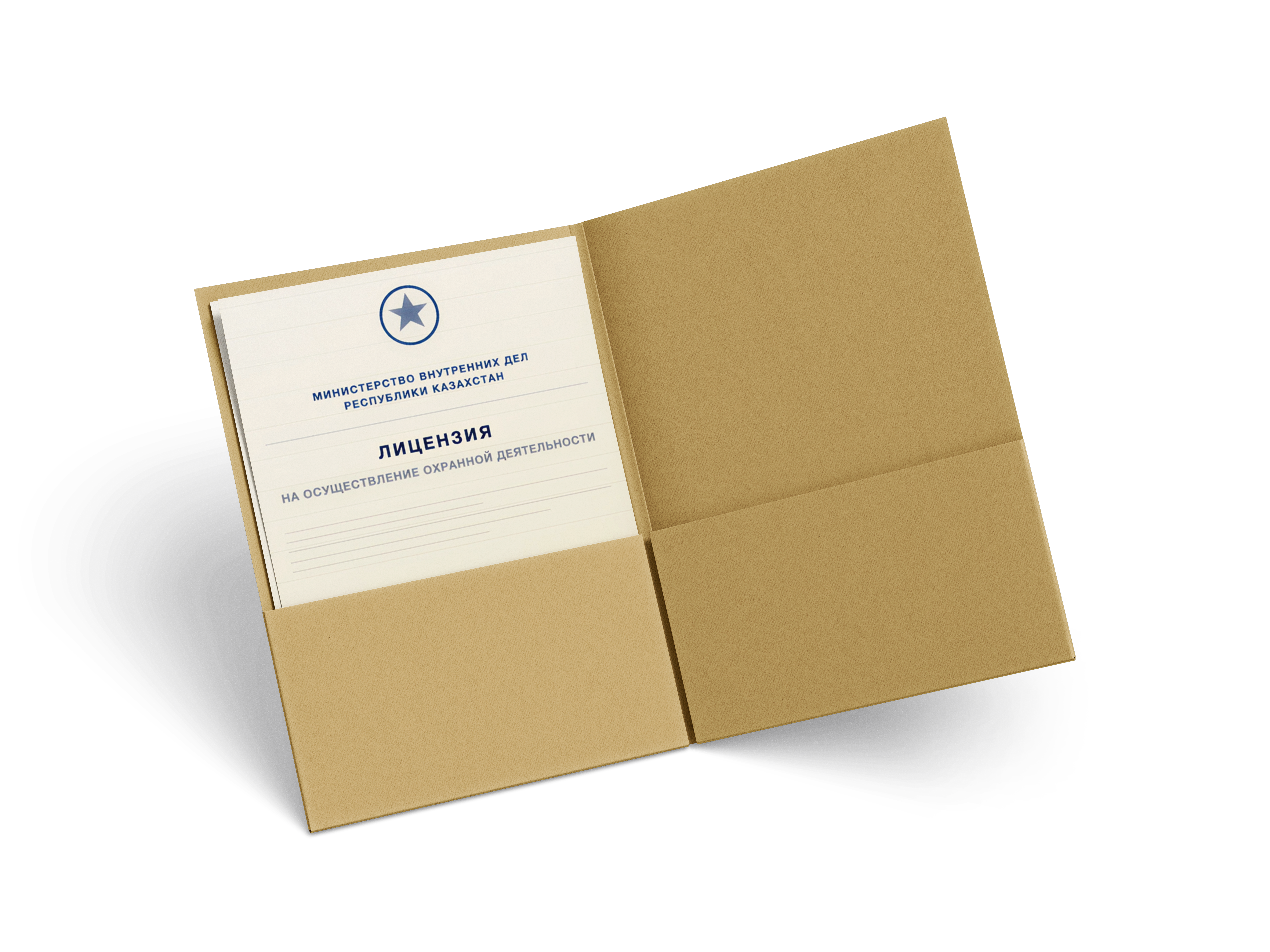 Лицензия Kazsheld